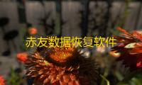 赤友数据恢复软件