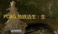 PUBG 地铁逃生：生存挑战
，策略与策略！